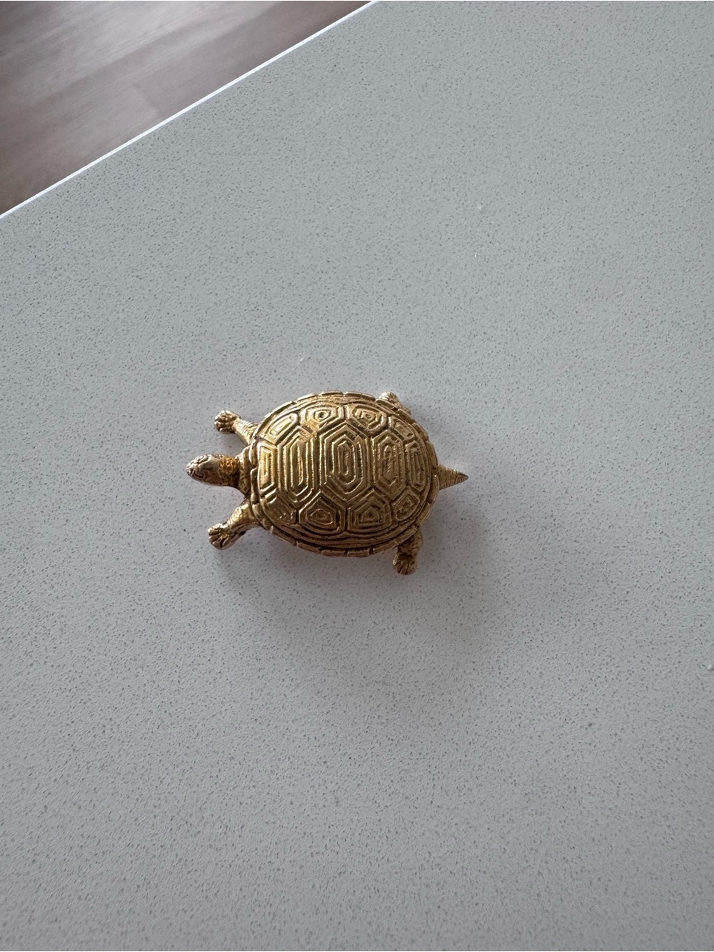 Vintage Turtle Brooch in Gold Tone